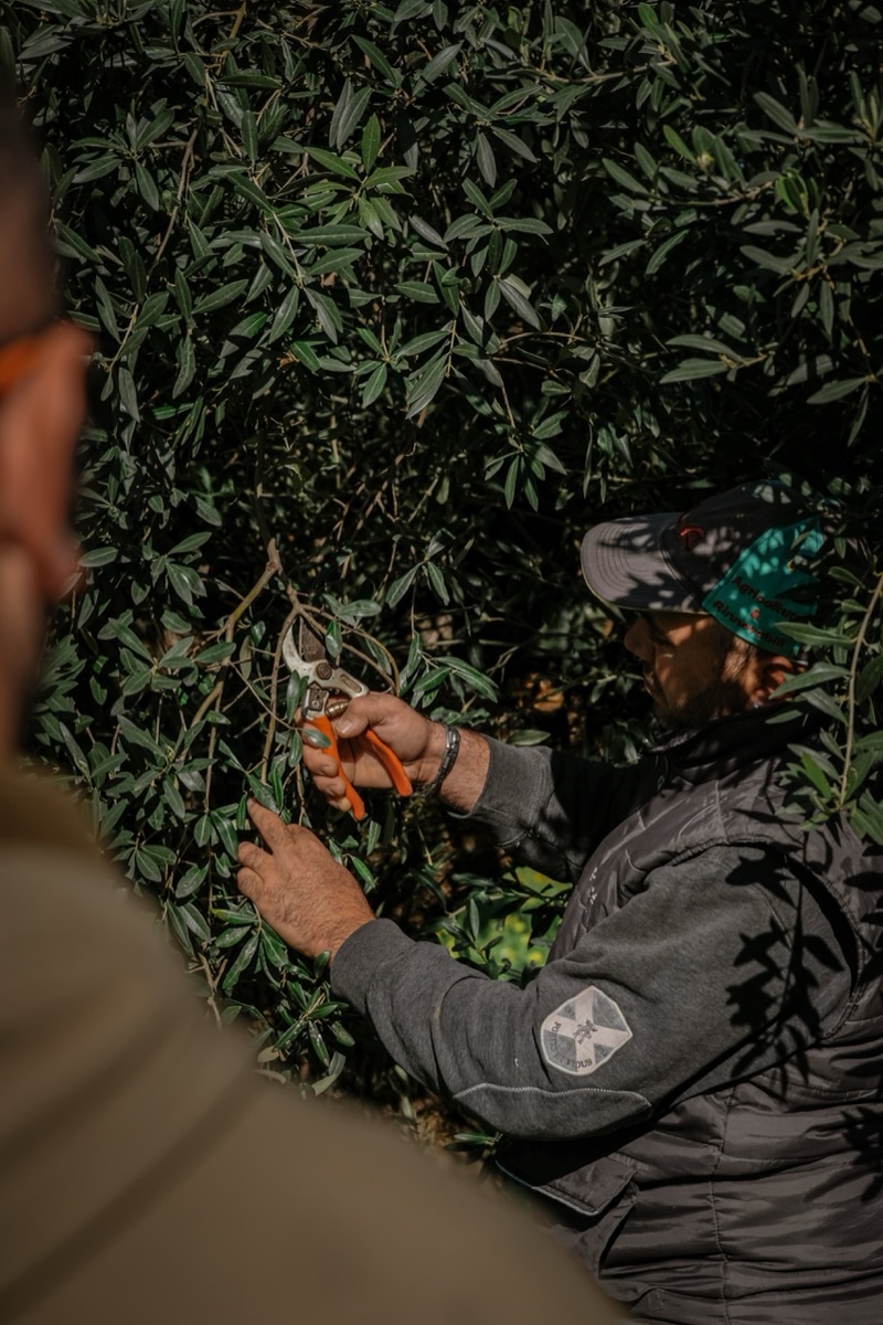 I fratelli Costa nel campo